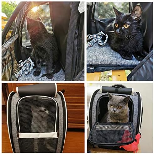 Texsens Innovative Traveler Bubble Backpack Pet Carriers for Cats and Dogs