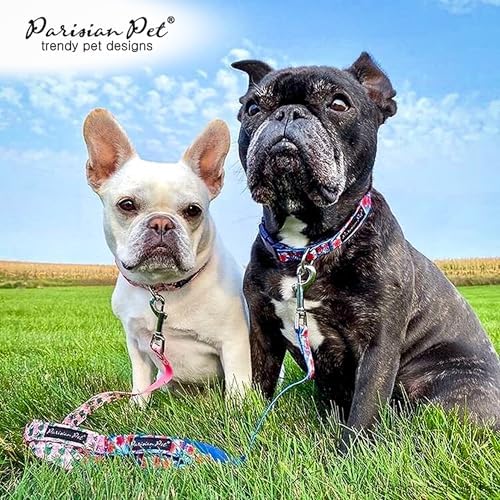 Parisian Pet Floral Dog Leash - Nylon Heavy Duty Training Leashes for Dogs with Comfortable Handle - Strong Metal Clip 4Ft Puppy Leash - Tropical Toucans Chew Proof Leashes for Small and Medium Dogs