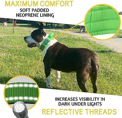 ADITYNA Heavy Duty Dog Collar for Large Dogs with Traffic Handle