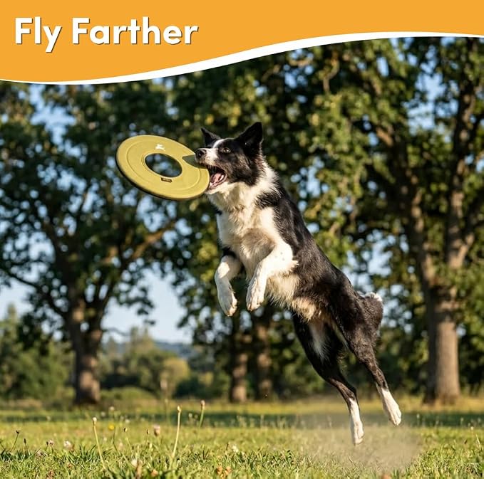 OllyDog Super Flyer Dog Flying Disc – Floating Fetch Toy for Water Play, Soft Eco-Friendly Recycled Fabric, Gentle on Teeth, 11" for Medium & Large Dogs (Alchemy, 11")