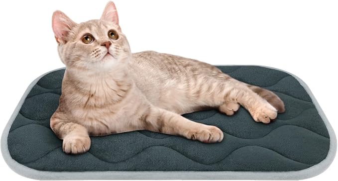 Dog Bed Mat Crate Pad, Anti-Slip Bottom Machine Washable Pet Pad | Thick lightweight mat with anti-slip bottom, machine washable. Ideal for dogs, cats in crates, home & car, XS 22x13'', Grey