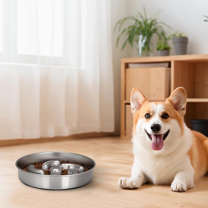 Slow Feeder Dog Bowl, 2 Cups Stainless Steel Heavy Duty with Non-Slip Base 8.7 inch Puzzle Maze Dog Food Bowls for Medium, Large Breed Size Dogs to Slow Down Eating