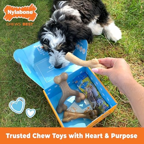 Nylabone Puppy Gift Box, Strong Chew Toys & Treat, Small, 4 Count