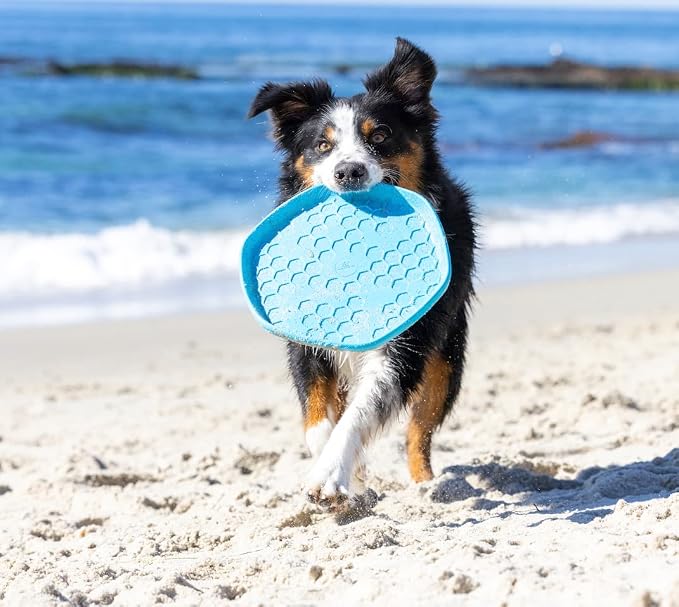PROJECT HIVE ·PET COMPANY· Dog disc - Great for Fetch - Includes a Lick mat on Back - Floats in Water, Smooth Glide - Made in The USA (Soothing Vanilla)