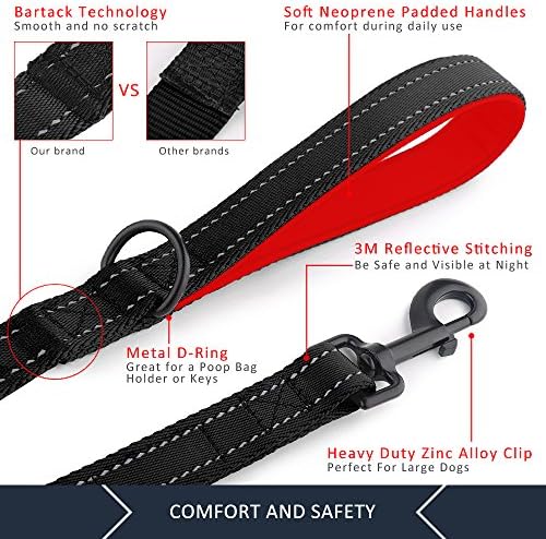 Plutus Pet Double Handle Dog Leash, 6 FT Long, for Medium Large Dogs