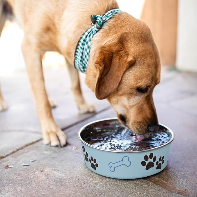 Loving Pets Bella Dog Bowls- Stainless Steel Dog & Cat Bowls - Spill Proof Dog Food Bowl, Cat Bowl, Puppy Essentials & Pet Supplies Great for Home & Travel (X-Large 65-100lbs, Murano Blue)