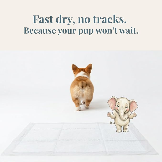 Quick-Drying & Super Absorbent Precious Puppy Pads, Leak-Proof & Unscented White Dog Pee Pads | Premium Potty Training Pads for Dogs (1, Large)