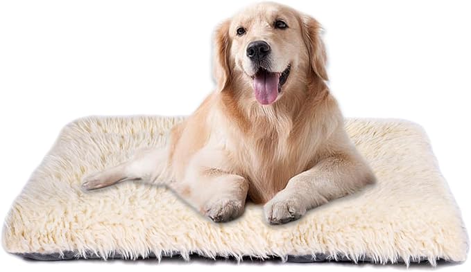 Machine Washable Dog Bed, Deluxe Plush Dog Crate Pad and Cat Bed, Anti-Slip Bottom Kennel Pad Mat, Fuzzy Pet Beds for Large, Medium, Small Dogs Breeds (Ivory, 24.0" L x 18.0" W x 3.0" Th x 1 Pack)