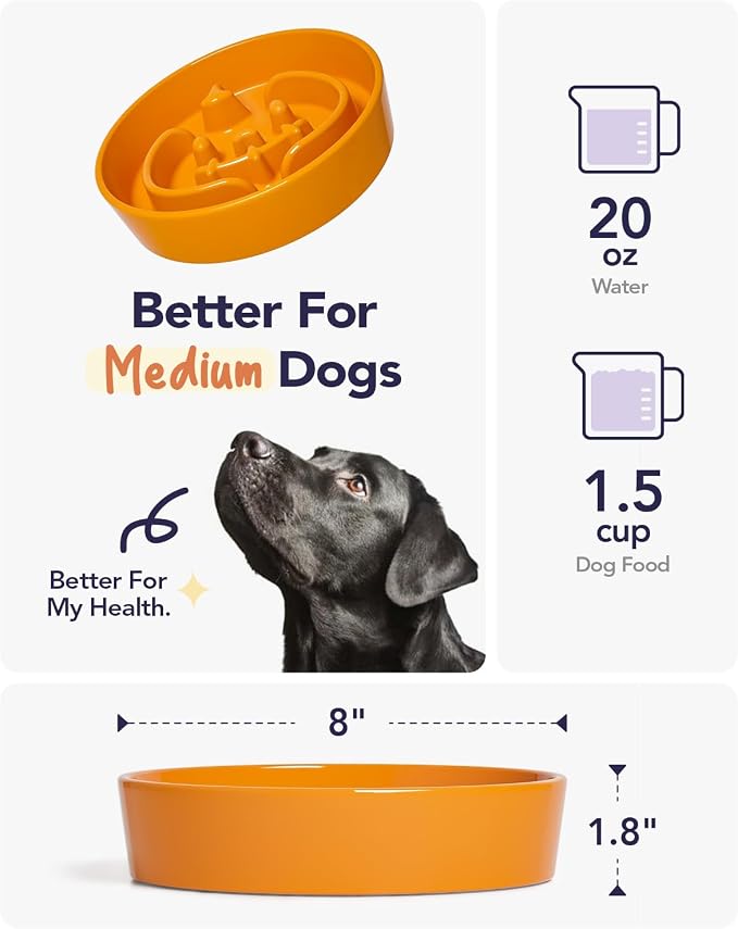 LE TAUCI Ceramic Slow Feeder Dog Bowl for Small Medium Dogs & Puppy, 1.5 Cup Puzzle Food Dish to Slow Down Eating, Pumpkin Orange