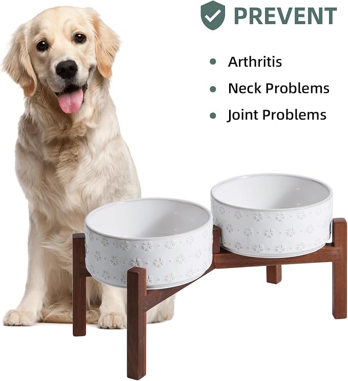 Havniva 7.3" Elevated Dog Bowls Ceramic Raised Dog Bowl with Non-Slip Stand (Acacia Wood) Weighted Dog Food & Water Bowl for Medium Breed Dogs - 5 Cups 41 oz