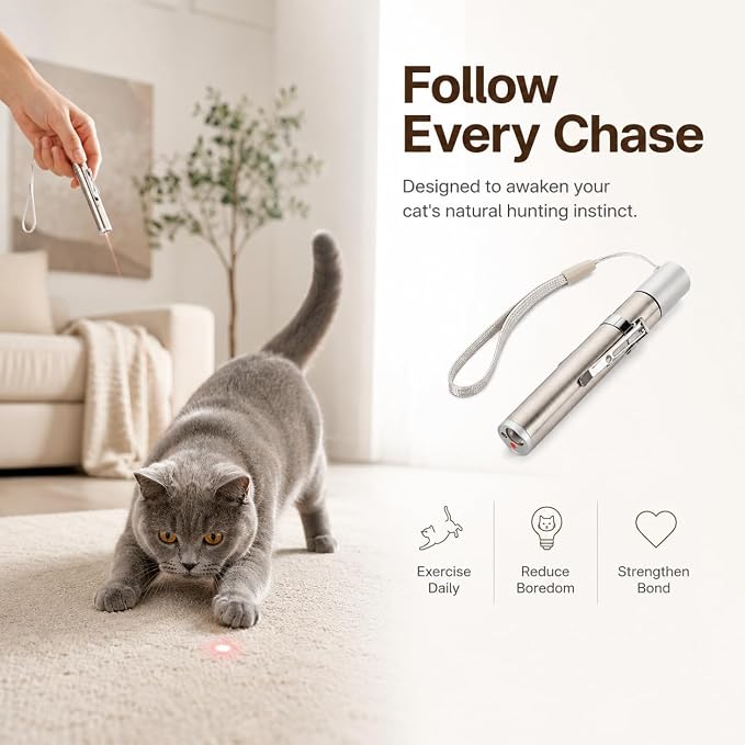 LBingbrother 2 Pack Cat Toys, USB Rechargeable Kitten Toy, 3 Light Modes, Portable Interactive Pet Dog Cat Mouse Toy for Fun Chase Play Exercise | Interactive Cat Toy, USB Rechargeable, Portable, 2-Pack, Indoor Exercise, Metal Body, 3 Light Modes