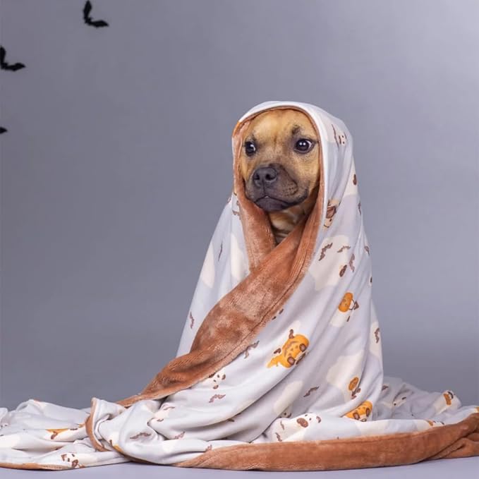 Darren & Phillip Howl-O-Ween Blanket - Ultra-Soft Blankets Made with Plush Fleece - Perfect as a Dog Bed Blanket or for Cuddling with Your Pup - Ultra-Snuggly Blankets for Dogs & Humans