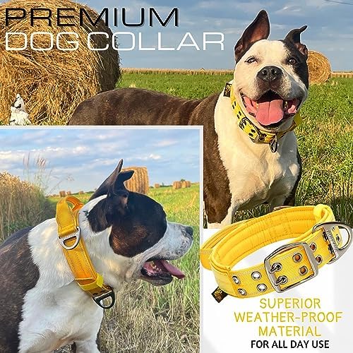 ADITYNA Heavy Duty Dog Collar for Large Dogs with Traffic Handle