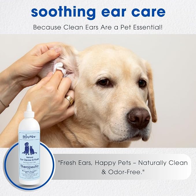 Dog Ear Cleaner Solution for Dogs & Cats 16 oz by Shiny Paw | Wintergreen, Camphor & Aloe – Gentle Ear Flush for Pets Health | Dog Ear Wash | Made in the USA