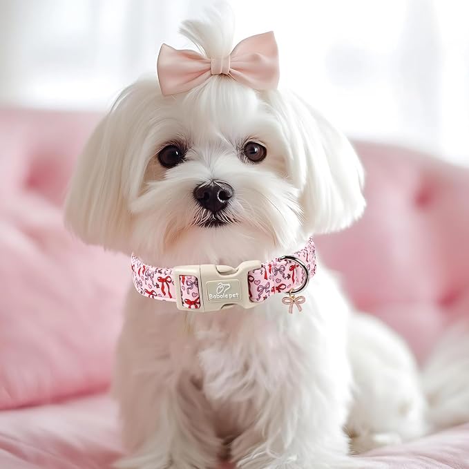 Girl Dog Collar for Small Dogs - Cute Heart Bow Print Girly Dog Collars, Soft Adjustable Spring/Summer Holiday Female Dogs Collar with Quick-Release Buckle XS