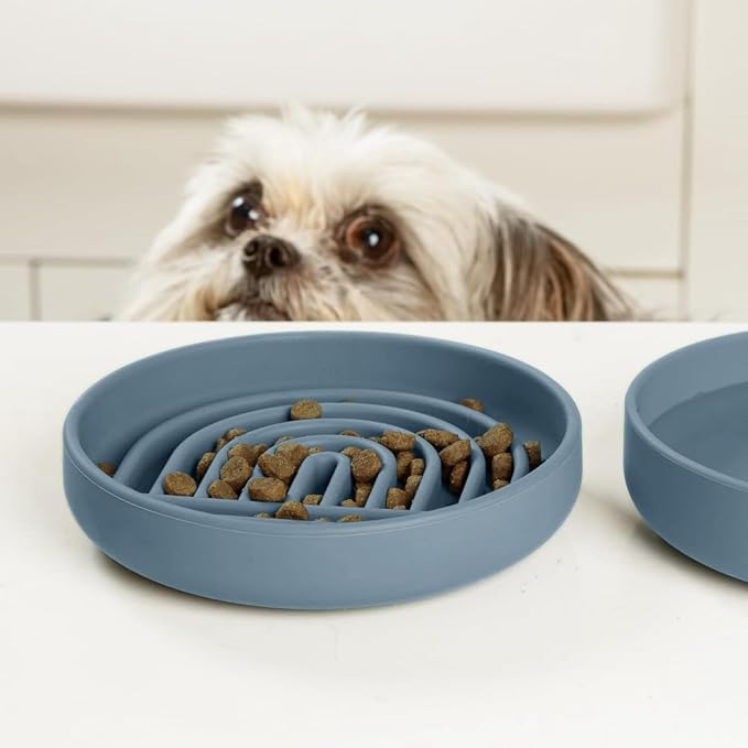 Should We Go? Slow Feeder Dog Bowls - Small Size Silicone Slow Eating Dog Bowl for Puppies & Dogs with Suction Cup -Dishwasher-Safe, Lick Mat Design, Reduces Gulping, for All Breeds, 6”x1.25”- Ocean