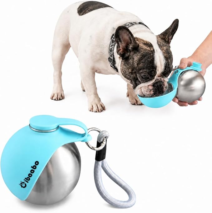 Cibaabo 2 in 1 Portable Dog Water Bottle with Bowl, 10 oz Stainless Steel No-Spill Travel Pet Water Dispenser with Collapsible Silicone Bowl for Small Dog & Puppy Walking Hiking Outdoor