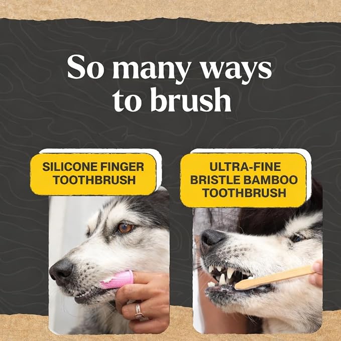 Dr. Oakley Dental Toothbrush Kit for Dogs & Cats -Finger Brush for Small Pets and Soft brushes for Large or Older Natural and Safe Peanut Butter Flavor -