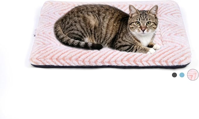 Mora Pets Cat Beds for Indoor Cats Washable Cat Mat Bed Flat Dog Crate Pad | Ultra Soft Cat Bed for Carrier, Puppy Crate Pad for Dog Cages Cozy Sleeping Liner, Small Cat Pillow Cushion Anti Slip 22 x 13