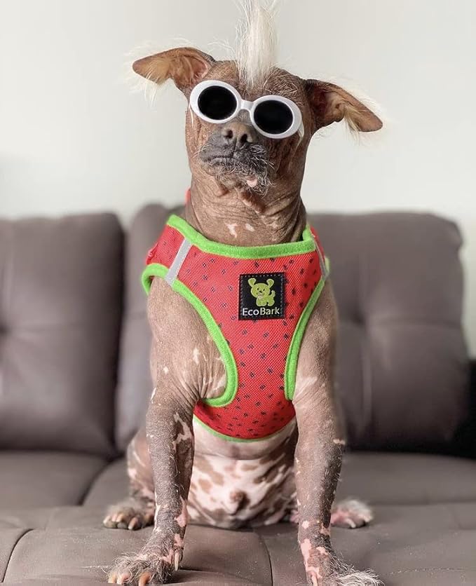 EcoBark Step in Dog Harness Reflective Soft Ultra Padded Mesh Dog Harnesses for XXS, XS, Small, and Medium Dogs Eco-Friendly Comfort Secure Halter No Pull Adjustable Pet Vest