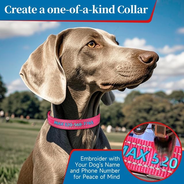 Personalized Dog Collars, Custom Reflective Embroidered Dog Collar with Name and Phone Numbers, Soft Nylon Adjustable, for XS, XL, Small, Medium, Large Dogs