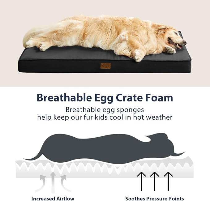 BFPETHOME Outdoor Waterproof Dog Bed for Large Dogs, Washable Cover, 54" | Outdoor & Indoor Use, Waterproof, For Medium, Large, Extra Large Dogs, Orthopedic, Egg Crate Foam, Up to 130 lbs