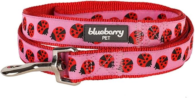Blueberry Pet Essentials 2 Patterns Durable Pink Webbing Ladybug Designer Dog Leash 4 ft x 1", Large, Basic Nylon Leashes for Dogs
