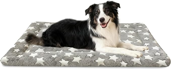 Dog Bed Mat, Dual-Sided Dog Crate Bed Mat - Ultra Soft & Machine Washable Kennel Pad for Large Dogs, All-Season Comfort Pet Bed for Crates, Travel, and Home, Star Gray, 35 x 23 Inch