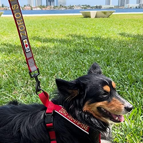 Pawtitas Personalized Red Dog Leash 6 ft Custom ID Lead for Dogs & Puppies Reflective Comfortable Padded Handle Embroidered Name & Phone Number