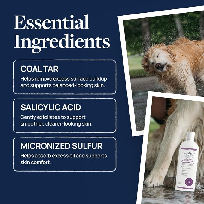 Veterinary Formula Clinical Care Antiparasitic Shampoo, 16 oz, 2-Pack | Antiparasitic and antiseborrheic shampoo for dry, irritated skin and occasional itchy spots