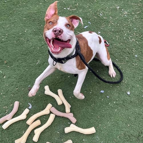 Nylabone Strong Chew Gourmet Style Stick Dog Chew Toy, Peanut Butter Flavor