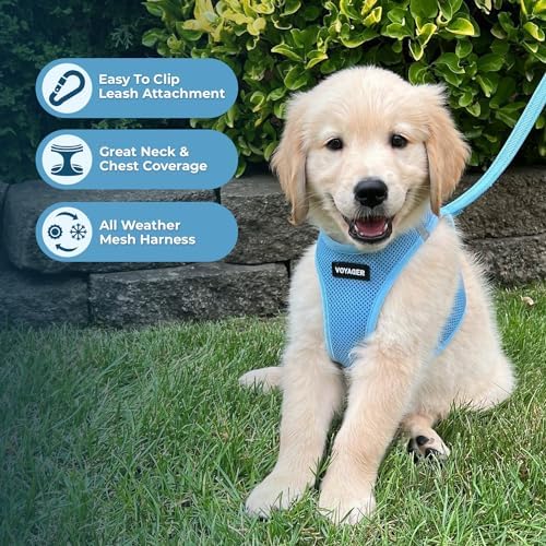 Best Pet Supplies Voyager Step-in Air All Weather Mesh Harness and Reflective Dog 5ft Leash Combo with Neoprene Handle, for Small, Medium and Large Breed Puppies - Baby Blue, XXX-Small