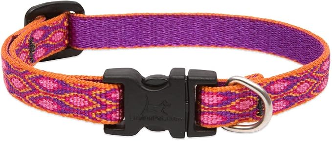 LupinePet Originals 1/2" Alpen Glow 8-12" Adjustable Collar for Small Dogs