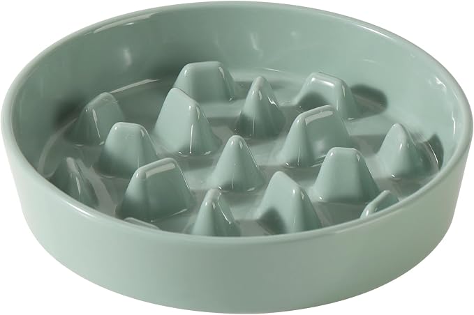 Havniva Ceramic Slow Feeder Dog Bowls, 3.2 Cups Dog Bowl Slow Feeding for Medium and Large Breed, 9.5inch Puzzle Dog Food Bowl Slow Feeder Non-Slip Anti-Gulping and Anti-Choking Reduces Bloating