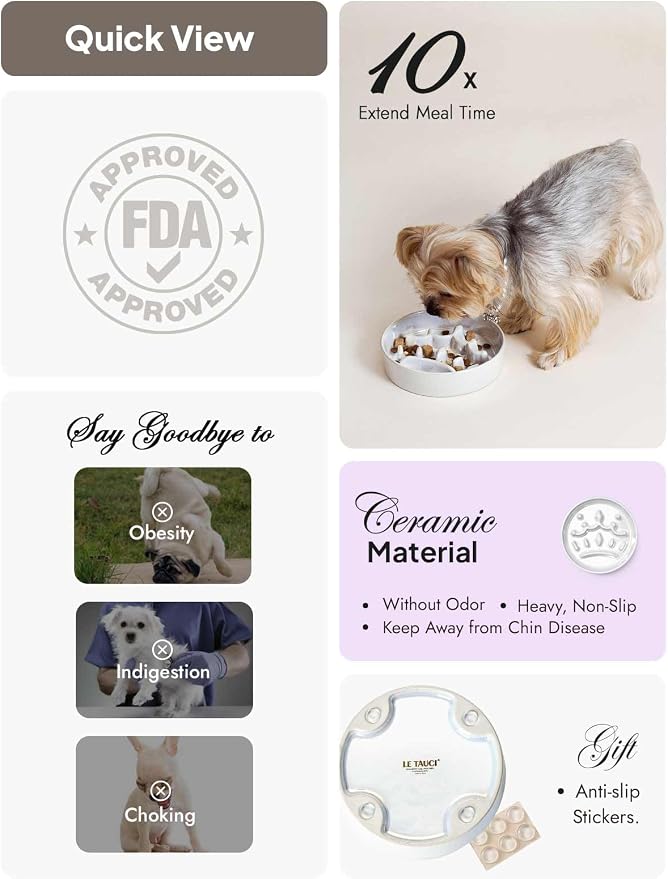 LE TAUCI Ceramic Slow Feeder Dog Bowls Small Breed, 0.6 Cups Dog Food Dish for Fast Eaters, Puzzle Bowl for Small Dogs and Cats,Crown Silver