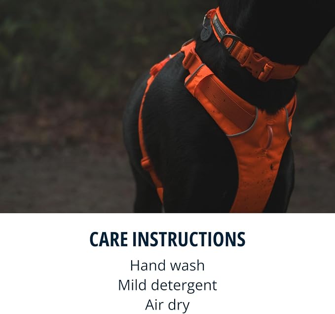 Ruffwear, Front Range Dog Collar, Adjustable Tubelok Webbing, Lightweight, Side Release Buckle, Aluminum V-Ring, Durable for Everyday Use, Blaze Orange, 11"-14"
