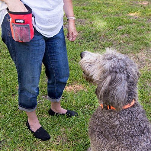 barkOutfitters Reward Treat Pouch - Orange