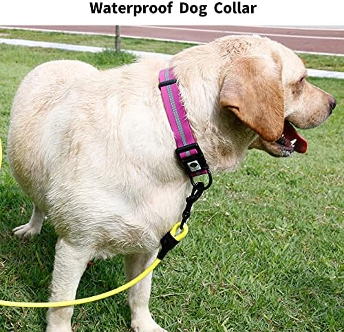 Nimble Reflective Waterproof Dog Collar Adjustable Odor Resistant Easy Clean Pet Collar for Small Medium Large Dogs Night Walking Outdoor Rainy Use (Medium (11.81”-18.5”inches), Rose Purple)