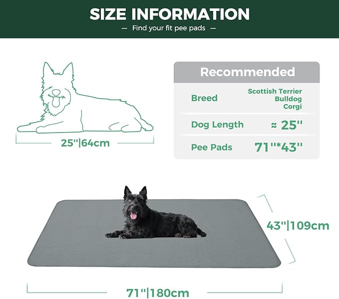 FXW Washable Pee Pads for Dogs, Super Absorbent, 43" x 71", 1 Pack | Machine washable, Non-slip backing, Fits 32"H 6-Panel FXW Rollick/Homeplus Playpens