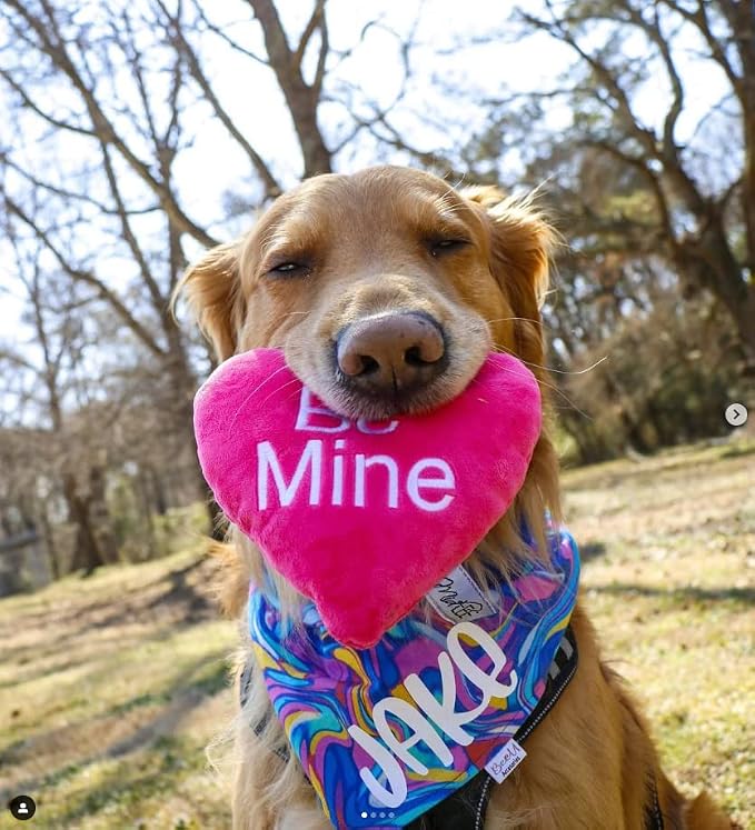 Midlee Candy Heart Valentine's Dog Toy- Set of 4- Large- Conversation Plush Squeaky Present