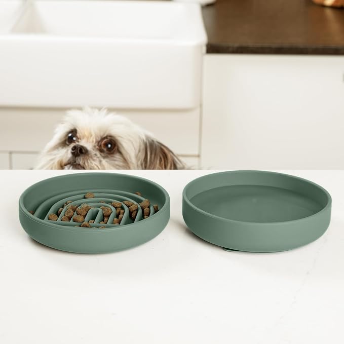 Should We Go? Slow Feeder Dog Bowls - Small Size Silicone Slow Eating Dog Bowl for Puppies & Dogs with Suction Cup -Dishwasher-Safe, Lick Mat Design, Reduces Gulping, for All Breeds, 6”x1.25”- Spruce