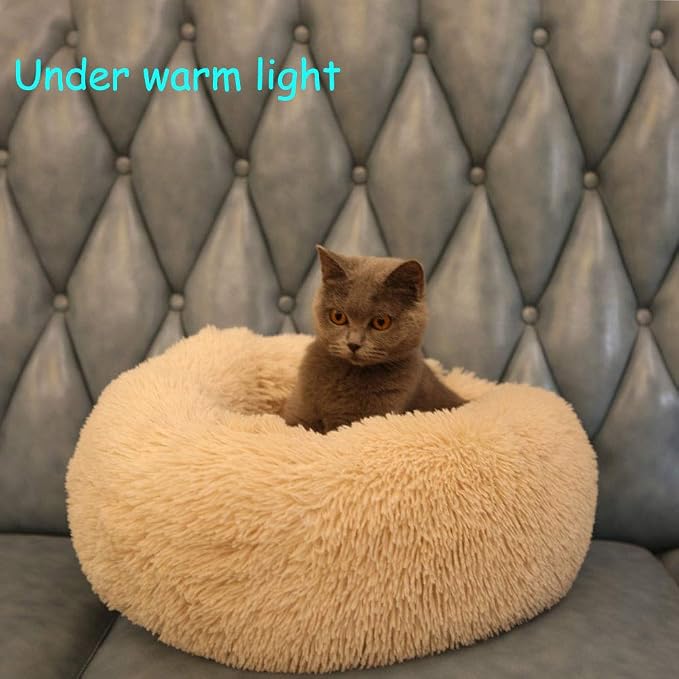Modern Soft Plush Round Pet Bed for Cats or Small Dogs, Mini Medium Sized Dog Cat Bed Self Warming Autumn Winter Indoor Snooze Sleeping Cozy Kitty Teddy Kennel (24'' D x 8'' H, Champagne)