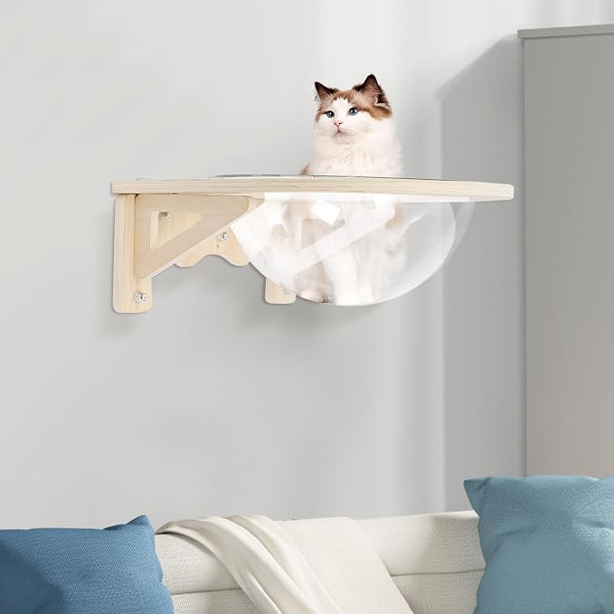 Transparent Cat Window Perch and Wall Shelves with 5 Strong Suction Cups, Cat Wall Capsule Bed Floating Pet Nest for Indoor Cats Climbing and Sleeping, Space-Saving Furniture