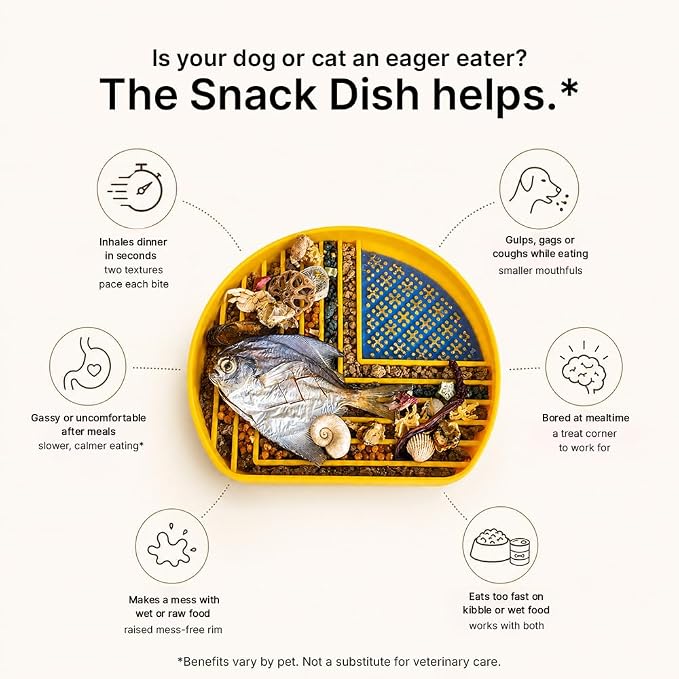 Snack Dish Slow Feeder Bowl for Dogs & Cats – Dual Pattern Design with Treat Corner, Mess-Free Feeding, Dishwasher Safe | Kubi Pets