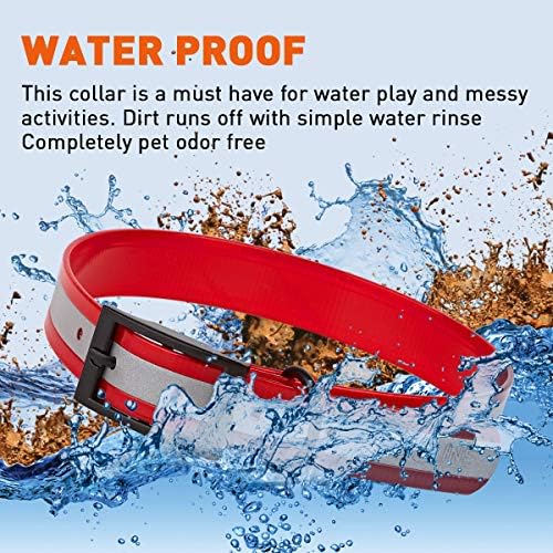 Dogline Biothane Translucent Reflective Waterproof Dog Collar Strong Coated Nylon Webbing with Black Hardware Odor- Proof for Easy Care Clean Fits Small Medium or Large Dogs - Red 1" W x 22"-25" L
