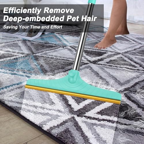 B-Land Carpet Rake for Pet Hair Removal, Reusable Carpet Scraper for Rug
