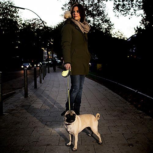 FLEXI Neon Retractable Dog Leash (Cord), 16 ft, Small, Black/Yellow