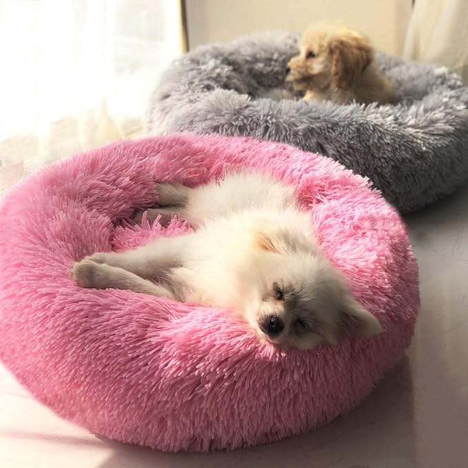 Modern Soft Plush Round Pet Bed for Cats or Small Dogs, Mini Medium Sized Dog Cat Bed Self Warming Autumn Winter Indoor Snooze Sleeping Cozy Kitty Teddy Kennel (24'' D x 8'' H, Hot Pink)