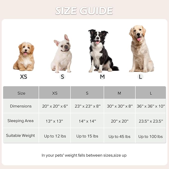 JOEJOY Donut Dog Bed Medium Size Dog, Cute Round Calming Pet Bed with Removable Washable Cover, Orthopedic Puppy Bed with Jacquard Shaggy Plush & Non Skid Bottom
