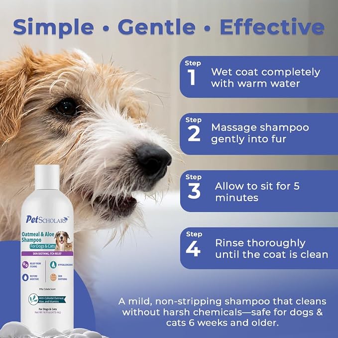 Oatmeal & Aloe Itch Relief Shampoo for Dogs & Cats (16 fl oz) | Anti Itch Shgampoo for Dogs & Cats